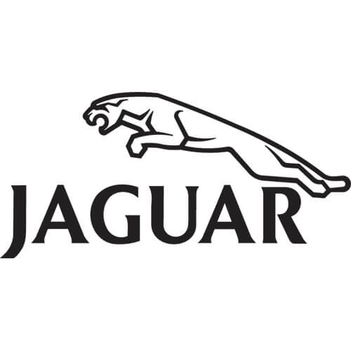 Jaguar F1 Logo
