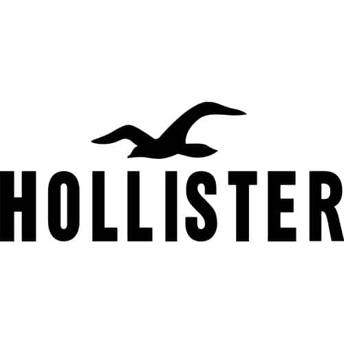 Hollister Logo Decal Sticker - HOLLISTER-LOGO-DECAL - Thriftysigns