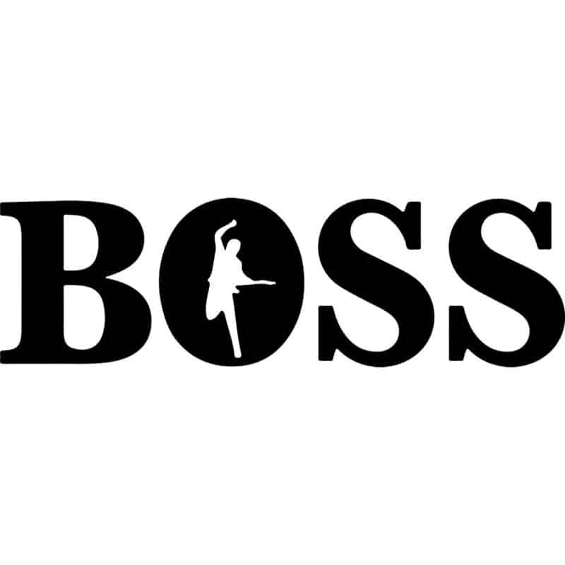 Bruce Springsteen Boss Decal Sticker