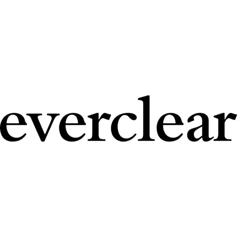 Everclear Band Logo Decal